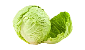 精彩集锦 - 天博体育APP