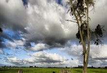天博体育官网：联盟第一！雷霆大胜黄蜂 亚历山大11000分+连63场20+追平科比.