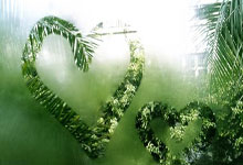 天博体育官网：大胜山东赛后太温馨！张镇麟与全队致敬，杨鸣与两赛季新援打闹！.