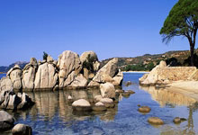 天博体育官网：中超联赛山东泰山对阵成都蓉城裁判安排出炉.